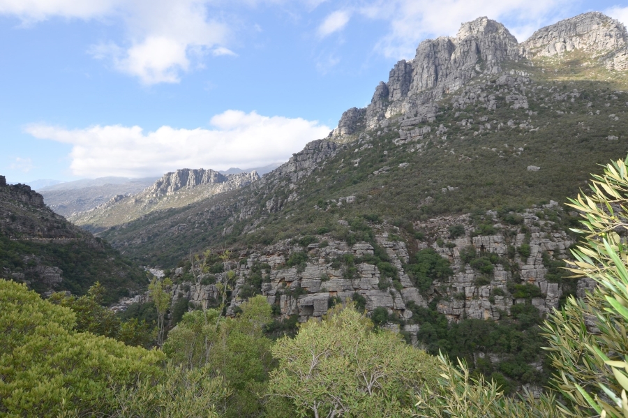 0 Bedroom Property for Sale in Bainskloof Western Cape